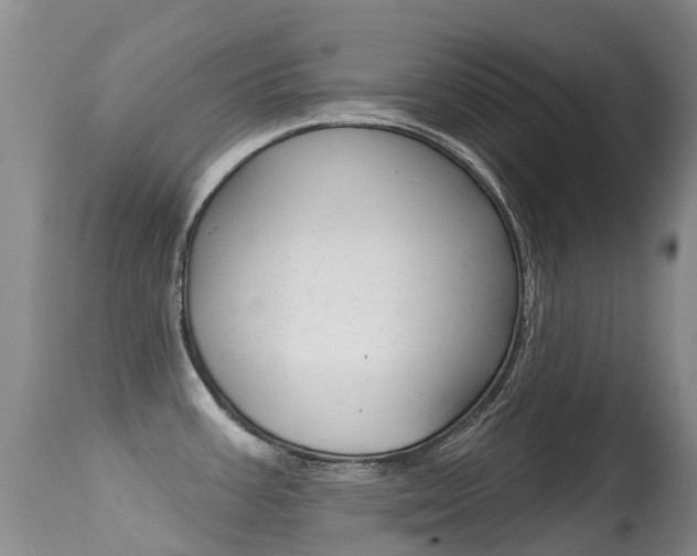 X0000114691387200910211044