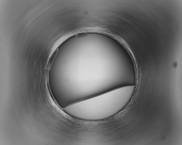 X0000114691389200910211044