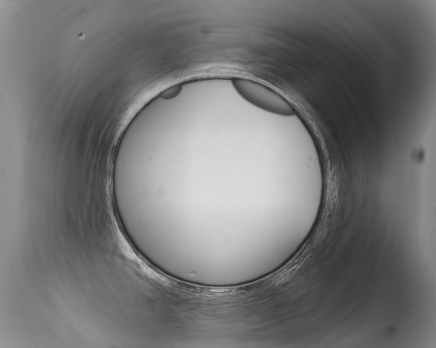 X0000114691390200910211044