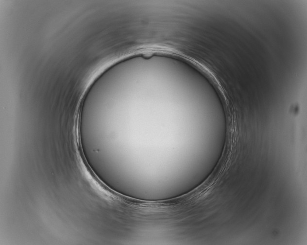 X0000114691391200910211044