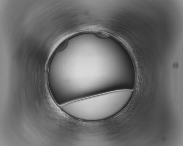 X0000114691392200910211044