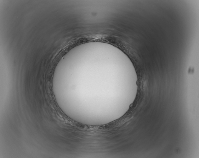 X0000114691393200910211044