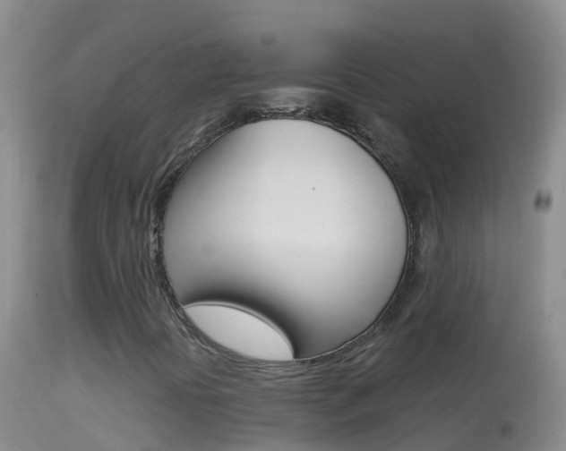 X0000114691394200910211044