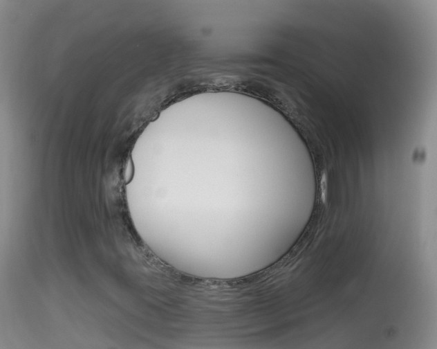 X0000114691395200910211044