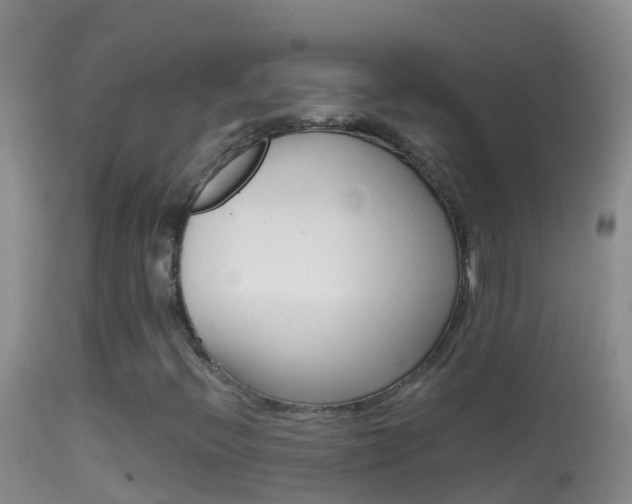 X0000114691396200910211044