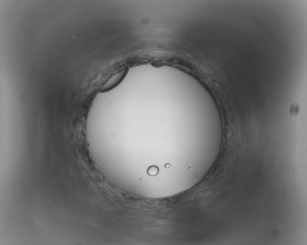 X0000114691397200910211044