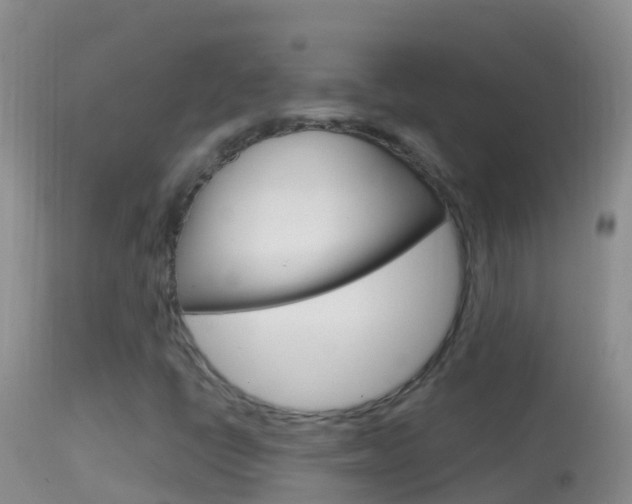 X0000114691398200910211044