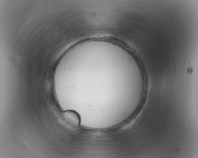 X0000114691401200910211044