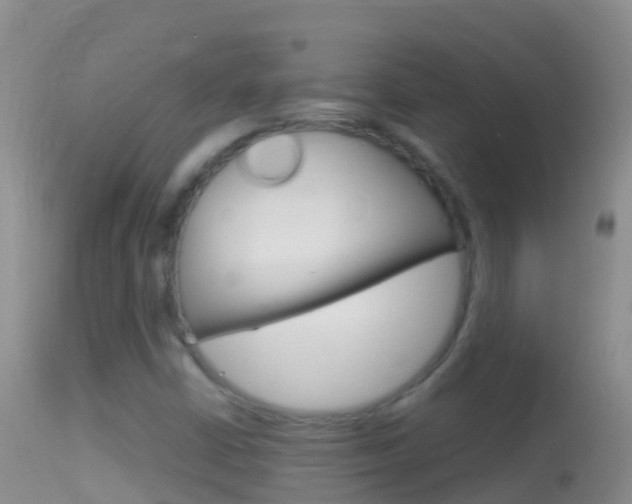 X0000114691402200910211044
