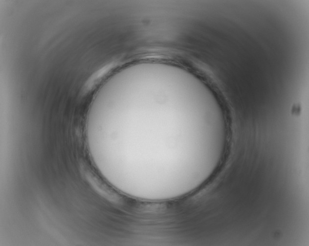 X0000114691403200910211044