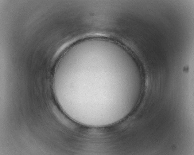 X0000114691404200910211044