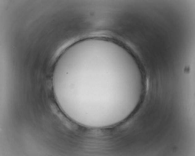 X0000114691405200910211044