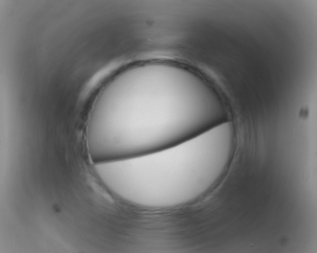 X0000114691406200910211044
