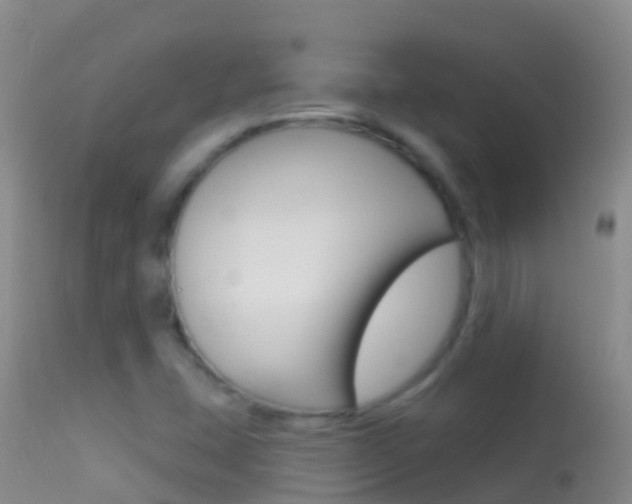 X0000114691407200910211044
