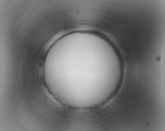 X0000114691409200910211044
