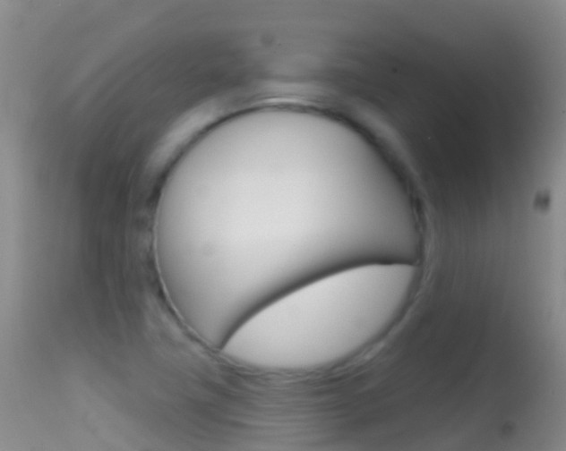 X0000114691411200910211044