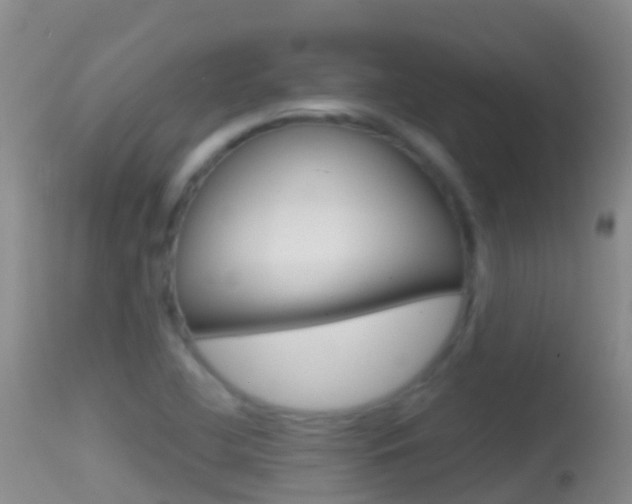 X0000114691412200910211044