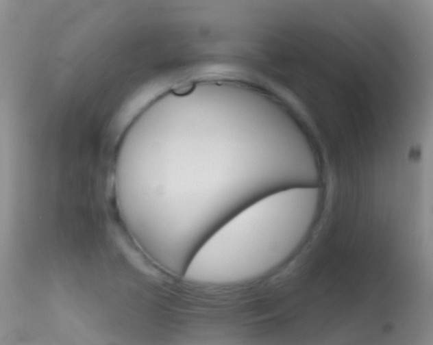 X0000114691413200910211044