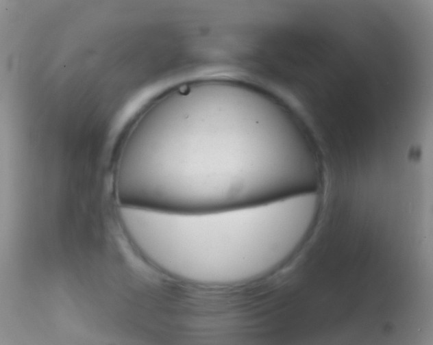 X0000114691414200910211044