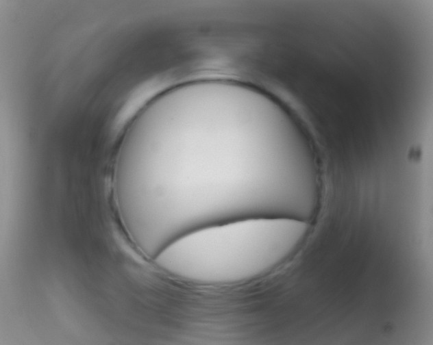 X0000114691415200910211044