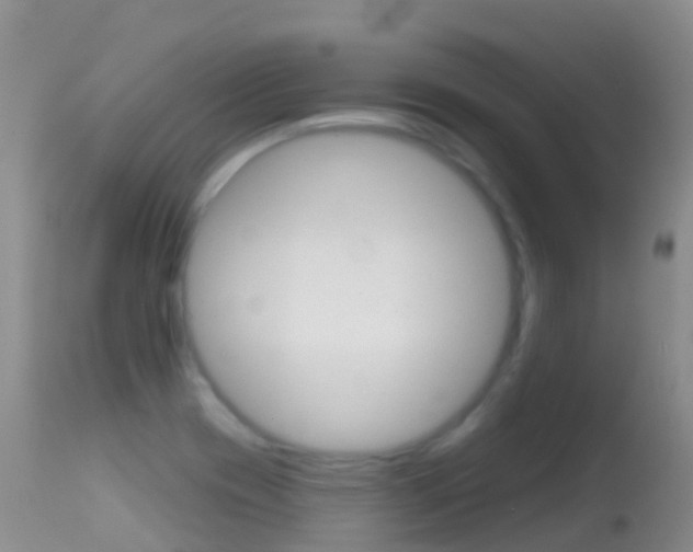 X0000114691417200910211044