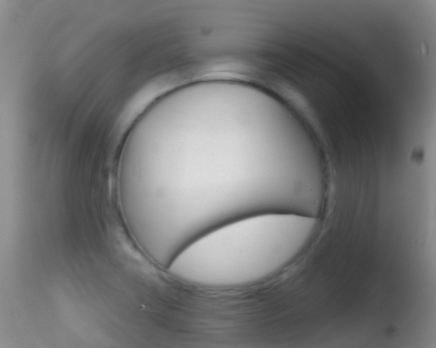 X0000114691419200910211044