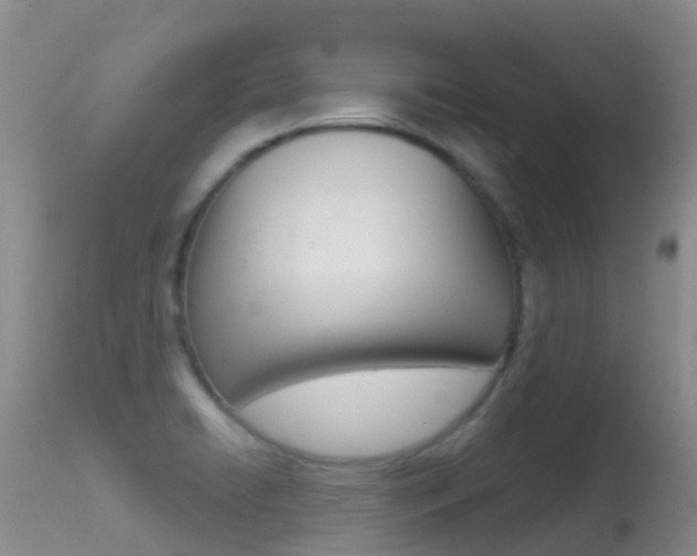 X0000114691422200910211044