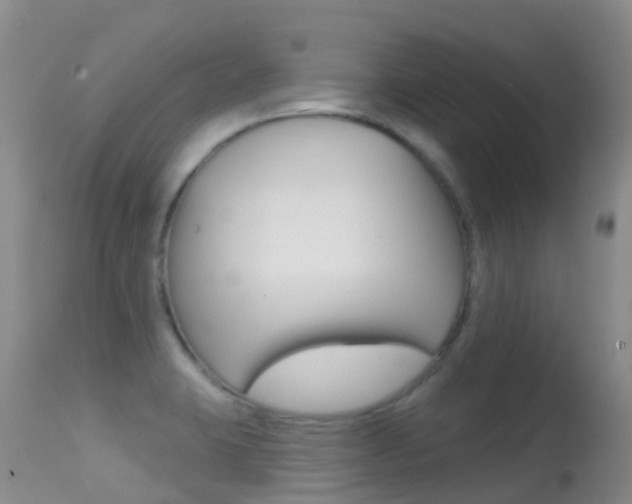 X0000114691423200910211044