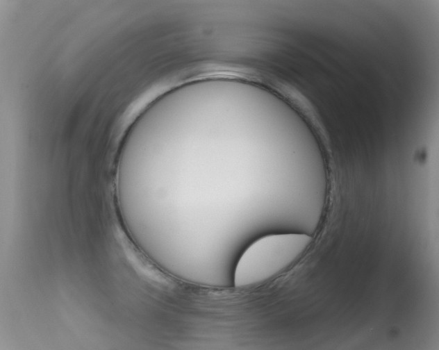 X0000114691427200910211044