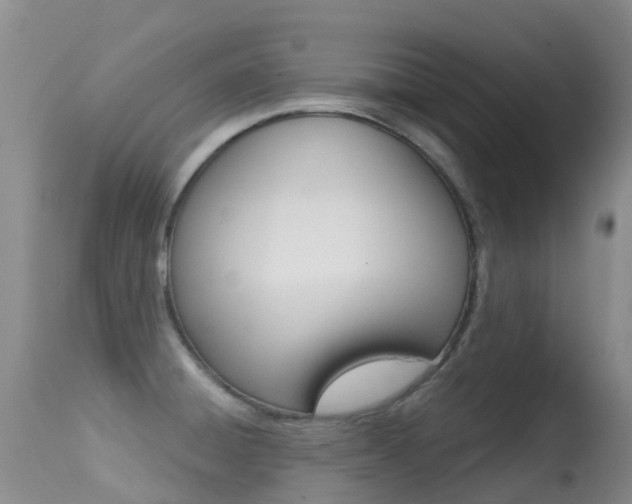 X0000114691428200910211044
