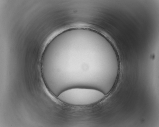 X0000114691429200910211044