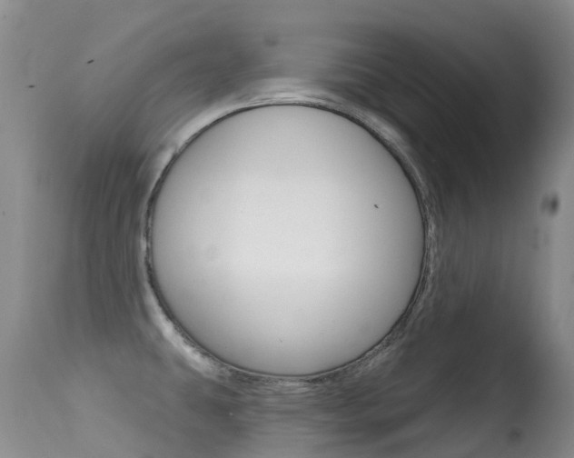 X0000114691431200910211044