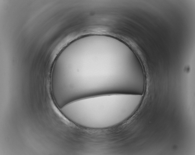 X0000114691432200910211044