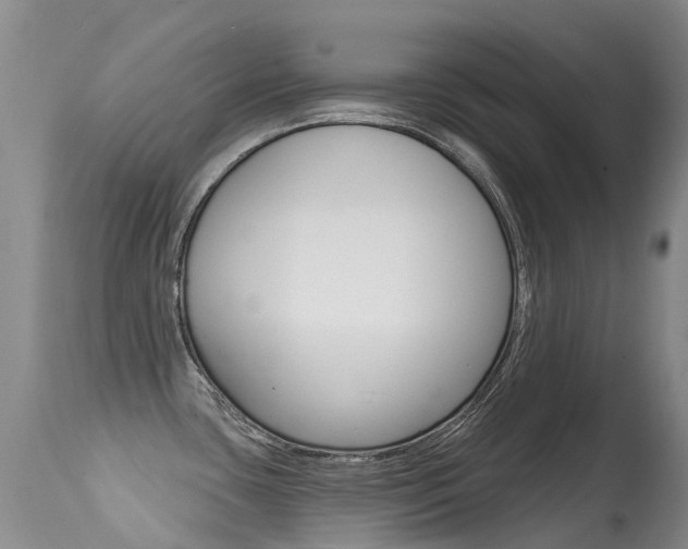 X0000114691435200910211044