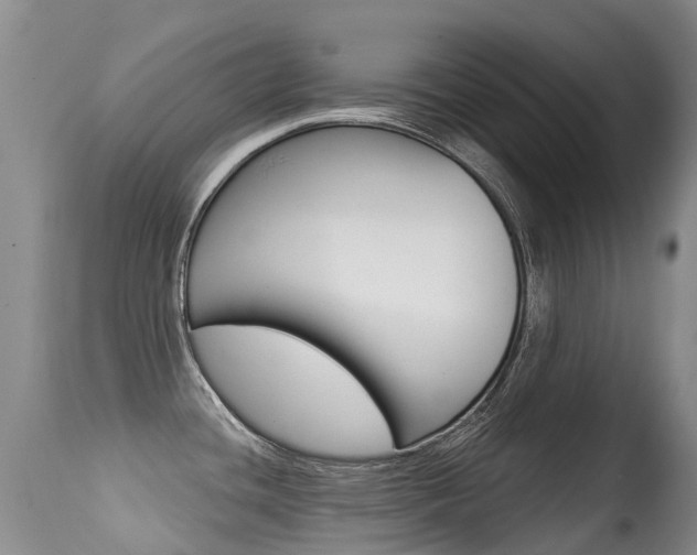 X0000114691436200910211044