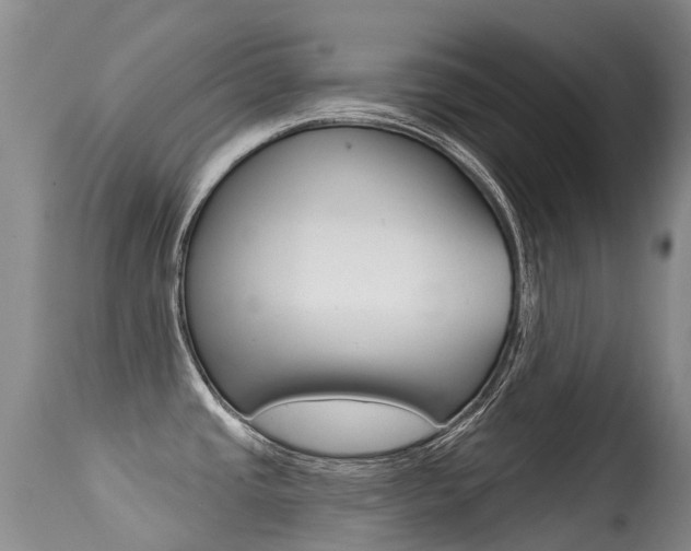 X0000114691437200910211044
