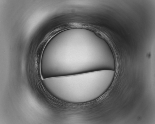 X0000114691438200910211044