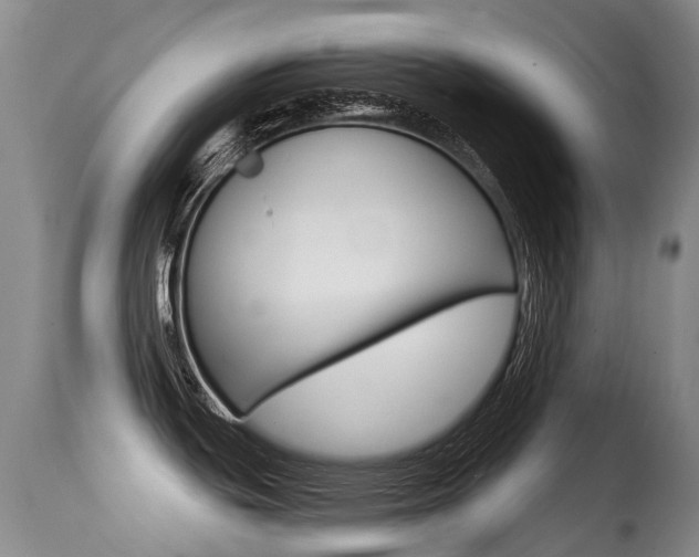 X0000114691439200910211044