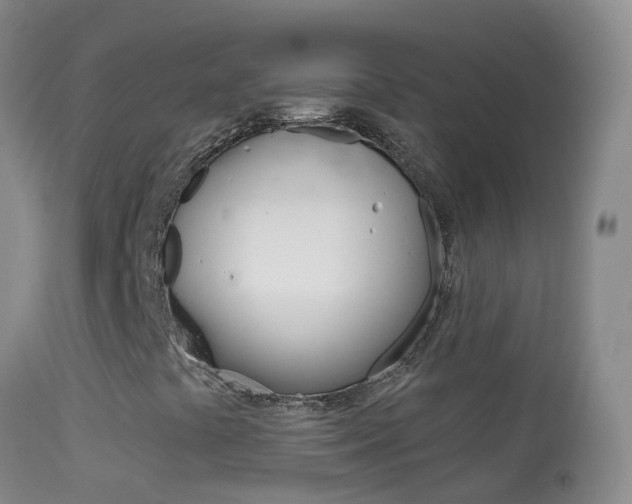 X0000114691441200910211044