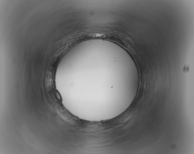 X0000114691442200910211044