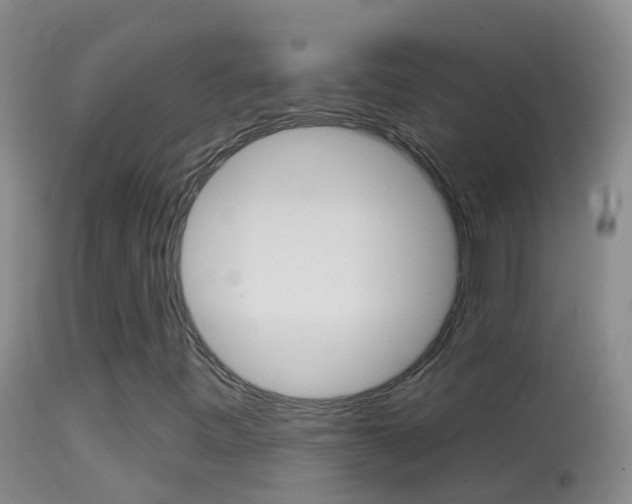 X0000114691443200910211044