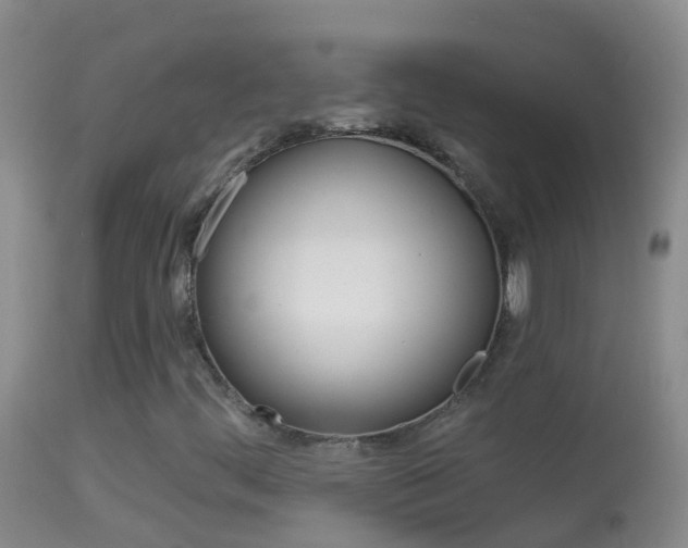 X0000114691444200910211044