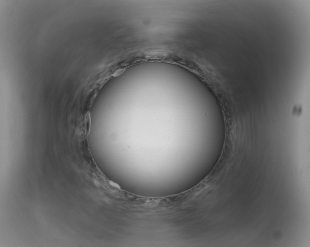 X0000114691445200910211044
