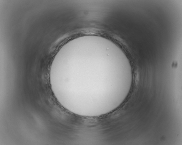 X0000114691446200910211044
