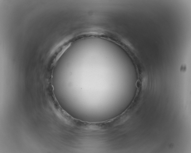 X0000114691448200910211044