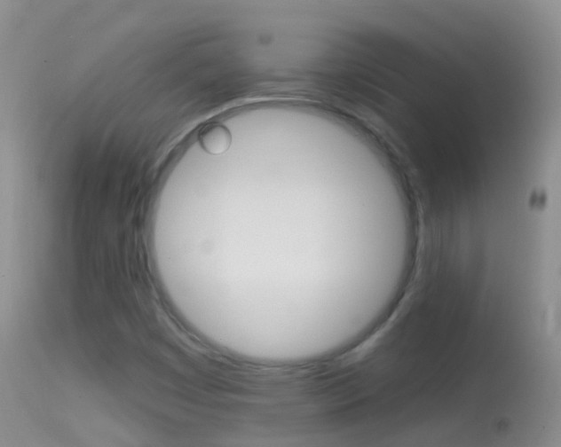 X0000114691449200910211044