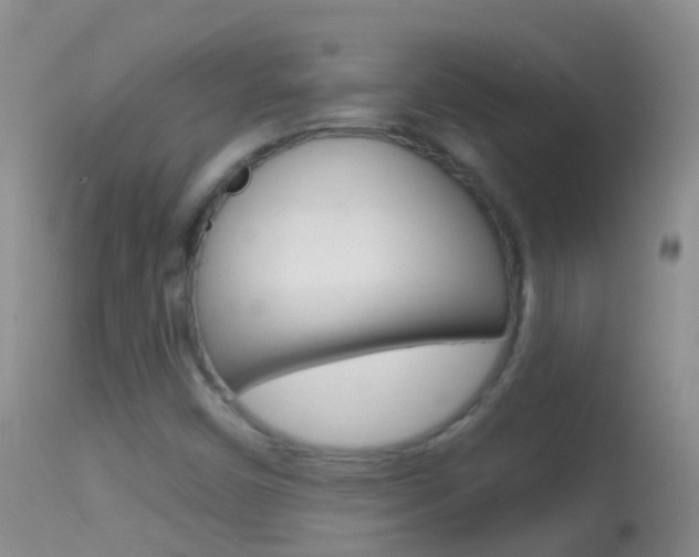 X0000114691450200910211043