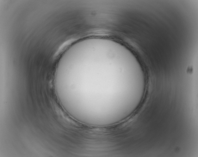 X0000114691451200910211043