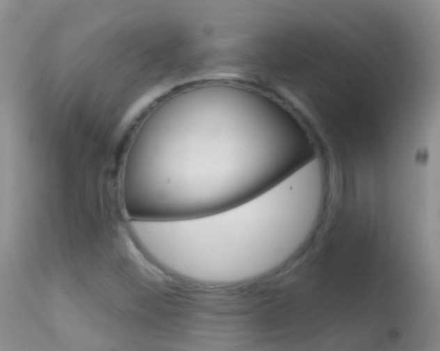 X0000114691452200910211043