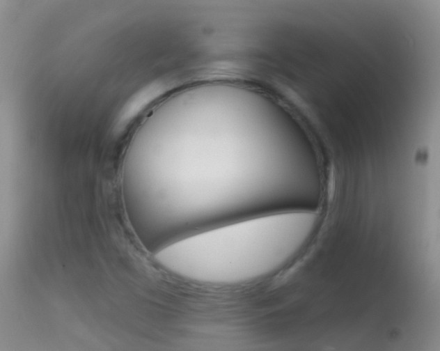 X0000114691453200910211043